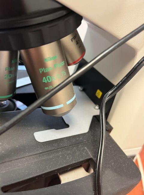 imagescience-blog-discounted-items-nikon-eclipse-e3200-IMG_3099