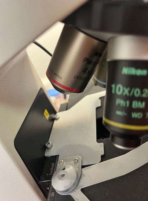 imagescience-blog-discounted-items-nikon-eclipse-e3200-IMG_3100