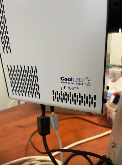 imagescience-blog-discounted-items-nikon-eclipse-e3200-IMG_3101