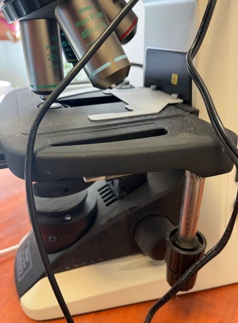 imagescience-blog-discounted-items-nikon-eclipse-e3200-IMG_3111