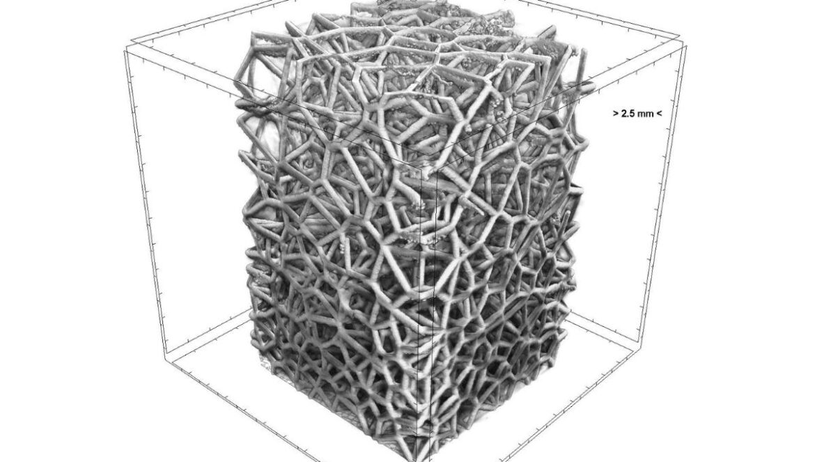 imagescience-blog-ct-images-1200x800-15